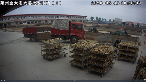 莱州金大宏大姜批发市场实况